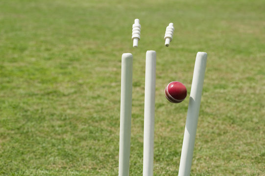  आईपीएल और टी-20 विश्व कप के आयोजन की घोषणा होने के बाद अब बीसीसीआइ ने घरेलू क्रिकेट का शेड्यूल जारी कर दिया