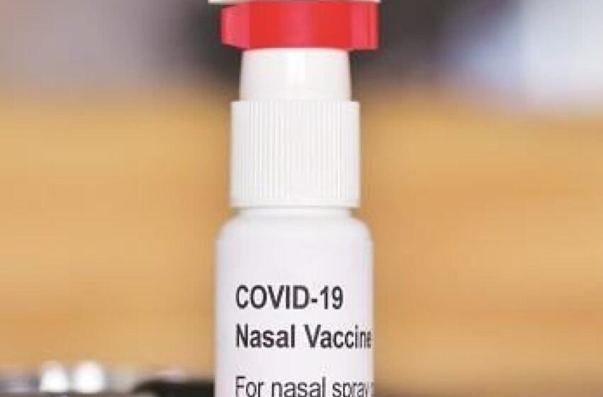  नेजल कोविड वैक्सीन: केवल 8 बूंदे आपको इंजेक्शन और संक्रमण के दोहरे डर से राहत दिला सकती है।