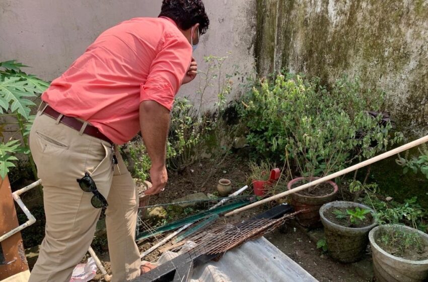  डेंगू मच्छर का लार्वा नष्ट किया
