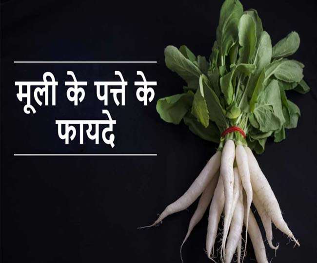  बहुत फायदेमंद है मूली के पत्तों का जूस