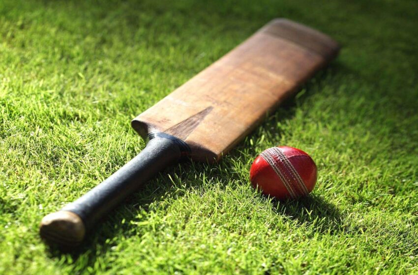  हंसा धनाई क्रिकेट प्रतियोगिता का हुआ आगाज