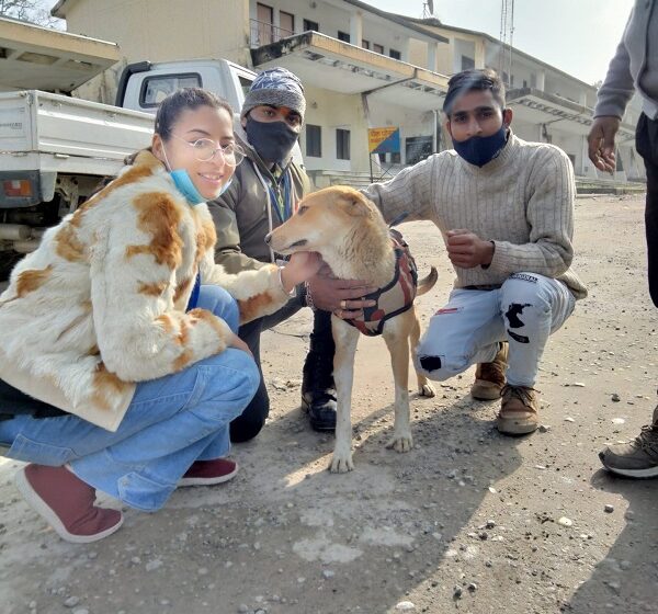  दून एनिमल वेलफेयर संस्था ने चलाया जागरूकता अभियान