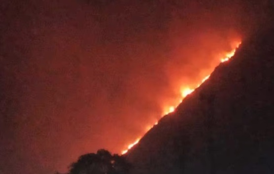  आग लगने से पीपलकोटी के पास कौड़िया के घने जंगल धधकने लगे हैं 