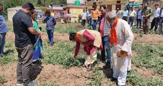  विधायक उपाध्याय ने ओलावृष्टि से हुए नुकसान का जायजा लिया