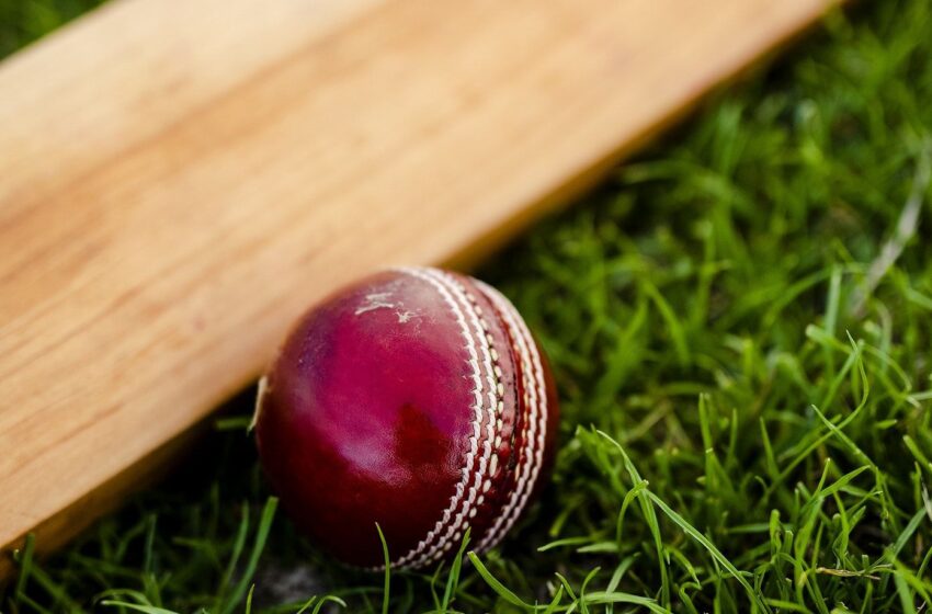  गोल्ड कप क्रिकेट में फूड कॉरपोरेशन व सीएयू की टीमें रहीं विजेता