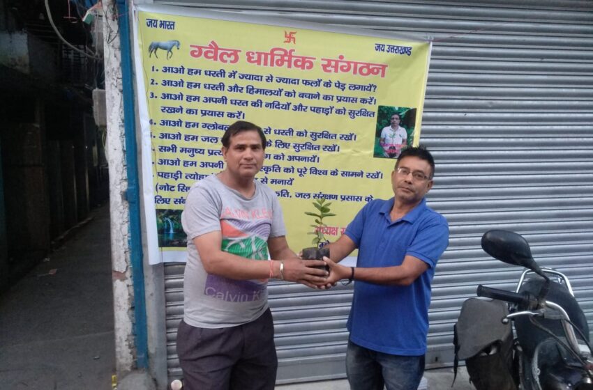  दून न्यूज  एसोसिएशन ने मनाया विश्व पर्यावरण दिवस।