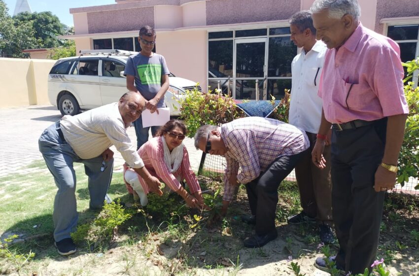  देवभूमि पत्रकार यूनियन ने पौधा रोपण कर मनाया हरेला पर्व