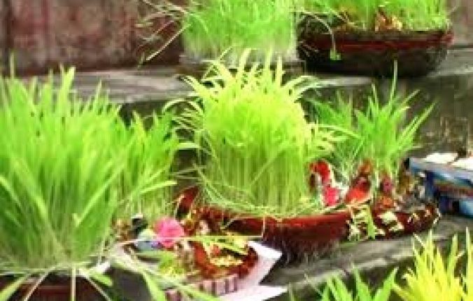  मुख्यमंत्री ने दी प्रदेशवासियों को लोकपर्व हरेला की शुभकामनाएं दी