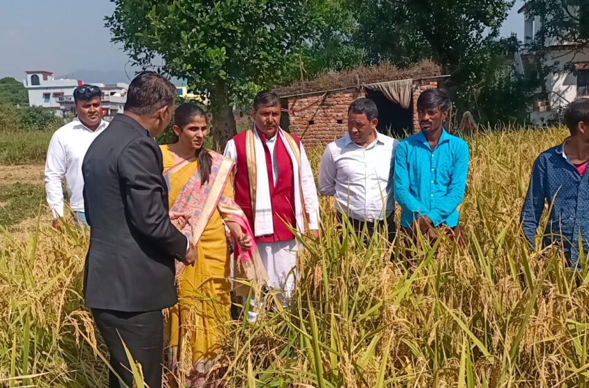  जिलाधिकारी श्रीमती सोनिका ने आज तहसील सदर के राजस्व ग्राम नकरौंदा मे प्रधानमंत्री फसल बीमा योजना अंतर्गत धान के फसल कटाई प्रयोग का निरीक्षण किया।