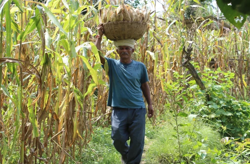  बारिश की मार के बाद महाराष्ट्र सरकार ने किसानों को दी बड़ी राहत, अब नहीं चुकाना पड़ेगा बिजली बिल