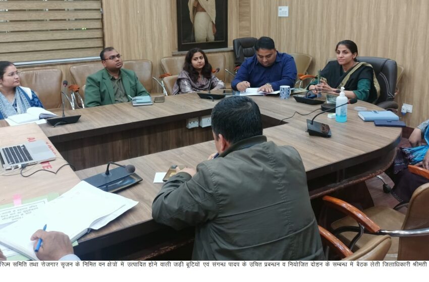  जिलाधिकारी श्रीमती सोनिका ने जी-20 सम्मेलन  की तैयारी को लेकर ऋषिपर्णा सभागार में सम्बन्धित अधिकारियों के साथ समीक्षा बैठक की