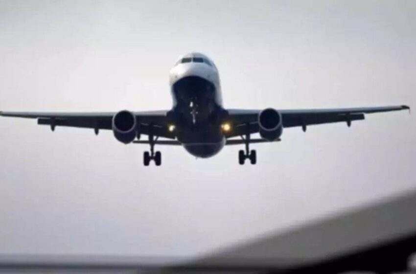  दुबई जाने वाले विमान से पक्षी टकराया, दिल्ली हवाई अड्डे पर फुल इमरजेंसी