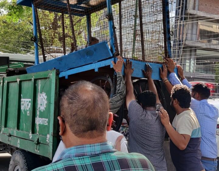  जनपद में अतिक्रमण से बाधित सड़कों एवं फुटपाथों से अतिक्रमण हटाए जाने हेतु जिलाधिकारी श्रीमती सोनिका के निर्देशन पर 5 जोन बनाए गए