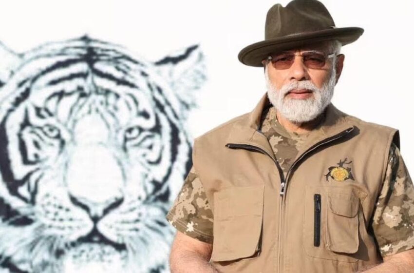  देश में बाघों की संख्या बढ़कर 3167 हुई, पीएम मोदी ने जारी किया नया आंकड़ा