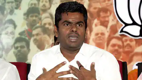  राहुल गांधी बेरोजगार हैं, इसका मतलब यह नहीं कि पूरा देश बेरोजगार है: तमिलनाडु BJP चीफ