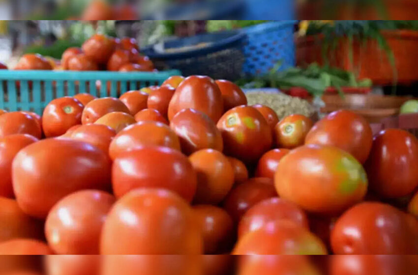  टमाटरों से भरे वाहन को बदमाशों ने लूटा