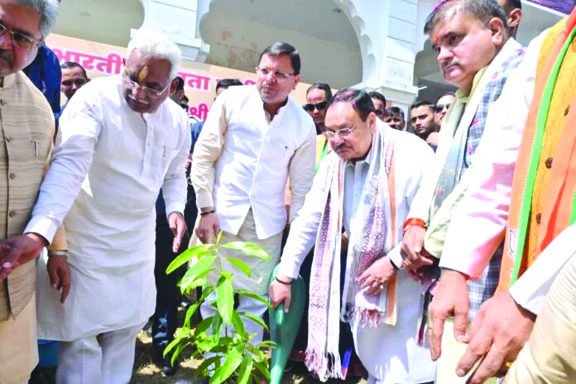  उत्तराखंड : ‘मेरी माटी, मेरा देश’ कार्यक्रम के अंतर्गत नड्डा ने किया पौधरोपण