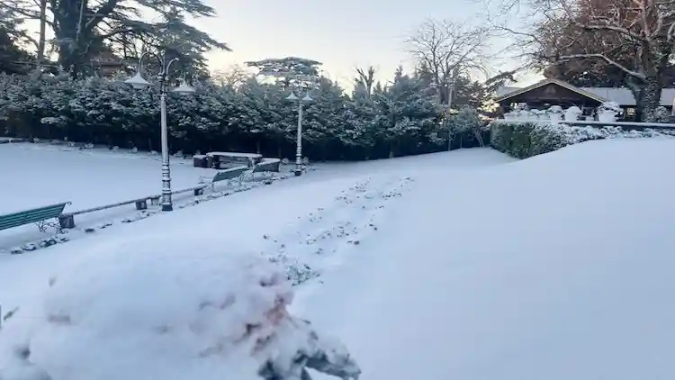  पहाड़ों में बर्फबारी और मैदानी जिलों में बारिश का दौर जारी