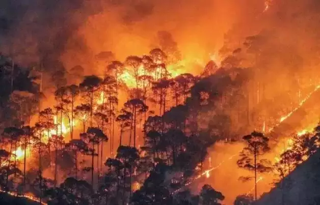  उत्तराखंड में वनाग्नि की घटनाएं आउट ऑफ कंट्रोल, अबतक 998 घटनाएं
