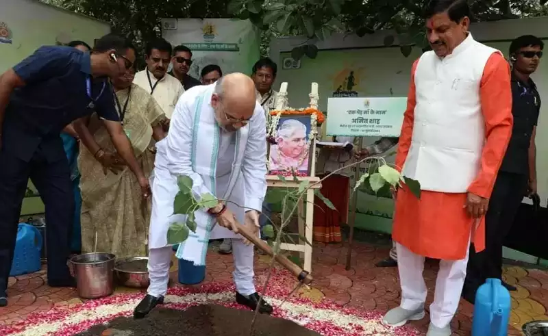  केंद्रीय गृहमंत्री ने इंदौर में लगाया मां के नाम पर पौधा