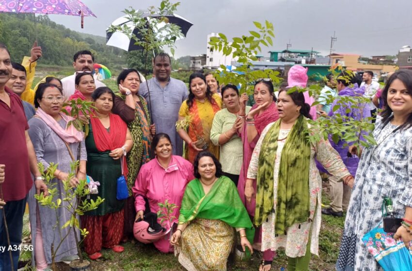  उमेश अग्रवाल फाउंडेशन और एलोरास मेल्टिंग मोमेंट्स के प्रोजेक्ट छांव में जुटे बड़ी संख्या में दूनवासी