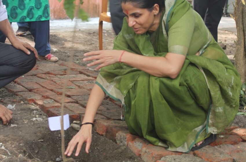  पर्यावरण संरक्षण को समर्पित राज्य के लोक पर्व ‘ हरेला’ के अवसर पर आज जनपद में वृहद्ध वृक्षारोपण कार्यक्रम आयोजित किए गए