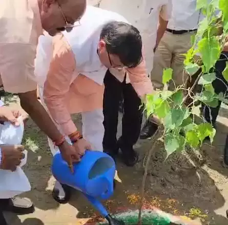  पौधरोपण महोत्सव में तब्दील हुआ हरेला पर्व