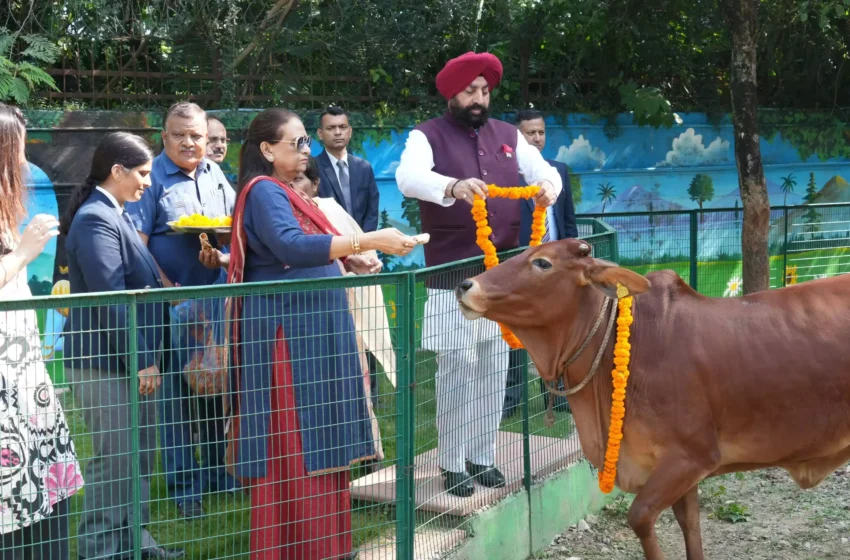  राज्यपाल ने गोशाला में की गोमाता की सेवा