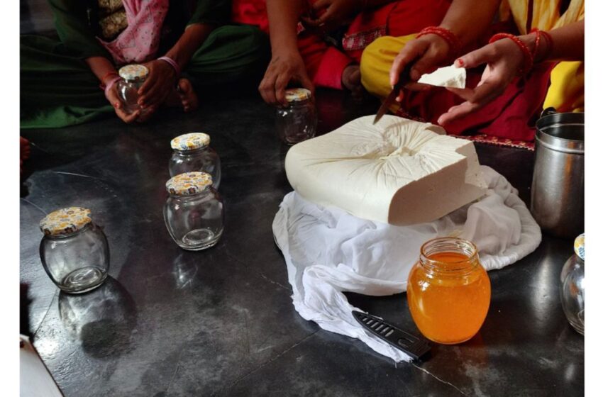  बद्रीनाथ स्वयं सहायता समूह : ग्रामीण महिलाओं की आर्थिक आत्मनिर्भरता की मिसाल