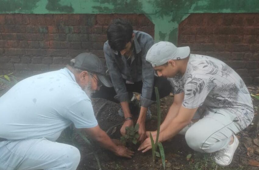  हरेला पर्व पर उत्तराखंड सामाजिक सम्मान सेवा ट्रस्ट ने गांधी पार्क में पौधारोपण कर पर्यावरण संरक्षण का संकल्प लिया