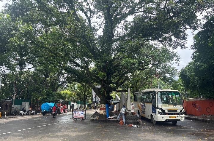  निरंतर प्रयास व समन्वय से स्रोत से रिकार्ड टाइम में प्लान, डिजाईन, धनराशि व्यवस्था कर अपने प्लान धरातल पर उतारते डीएम सविन