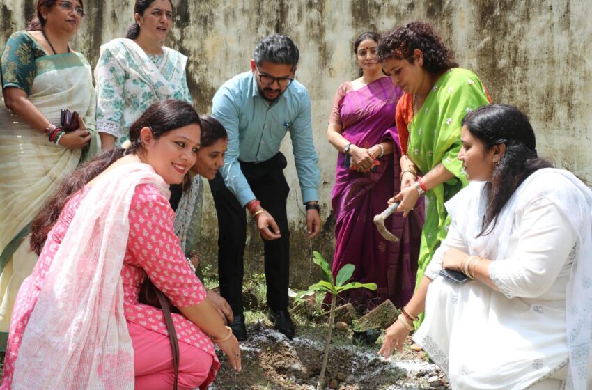  एक पेड मां के नाम, सीडीओ ने रोपा एक लाख वॉ पौधा
