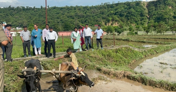  मा0 मुख्यमंत्री के निर्देशन पर जिला प्रशासन ने विलुप्त दून बासमती को दिलाई नई पहचान