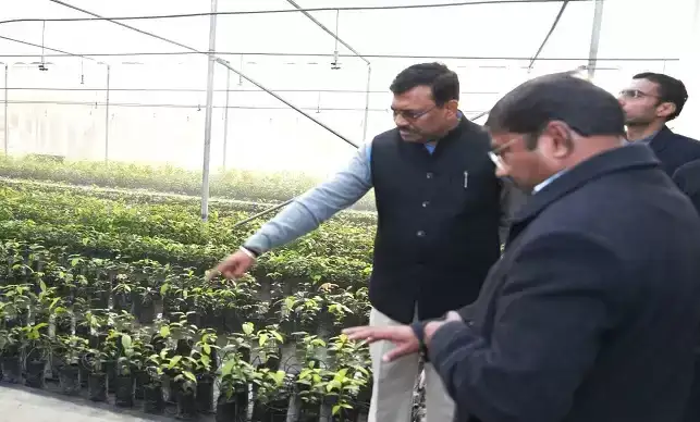  सगन्ध पौधा केन्द्र का मुख्य सचिव ने किया निरीक्षण, किसानों की आय बढ़ाने पर दिया जोर