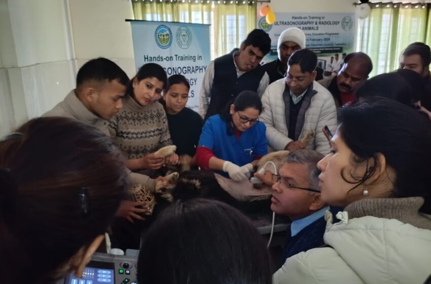  राज्य में पशु स्वास्थ्य सेवाओं की गुणवत्ता बढ़ाने की दिशा में महत्वपूर्ण पहल