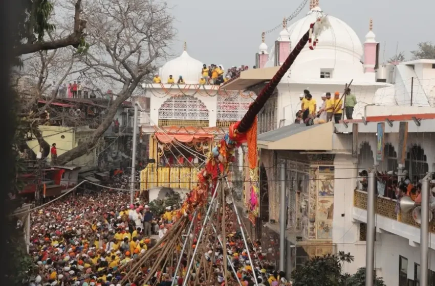  दरबार साहिब में आस्था का सैलाब, देश-विदेश से पहुंचे श्रद्धालुओं ने लिया आशीर्वाद