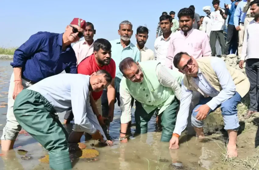  हरिद्वार में मखाना की खेती का कृषि मंत्री गणेश जोशी ने किया औपचारिक शुभारंभ