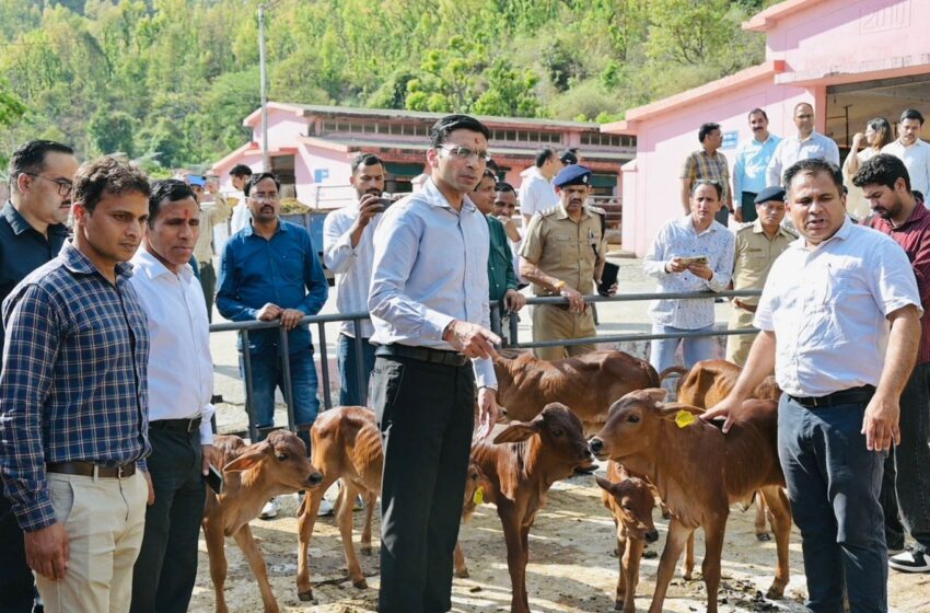  महिला स्वयं सहायता को समूहों को उपलब्ध कराया जाएगा आनलाईन बाजार; गूगल मैप्स पर पंजीकरण के डीएम ने दिए निर्देश