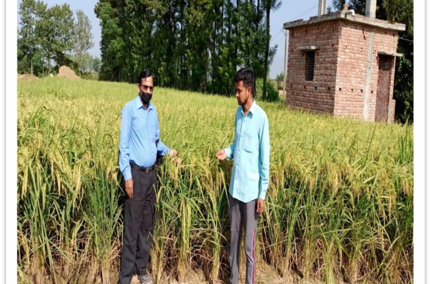  राष्ट्रीय कृषि विकास योजना से सहसपुर और विकास नगर के किसानों को मिली नई पहचान