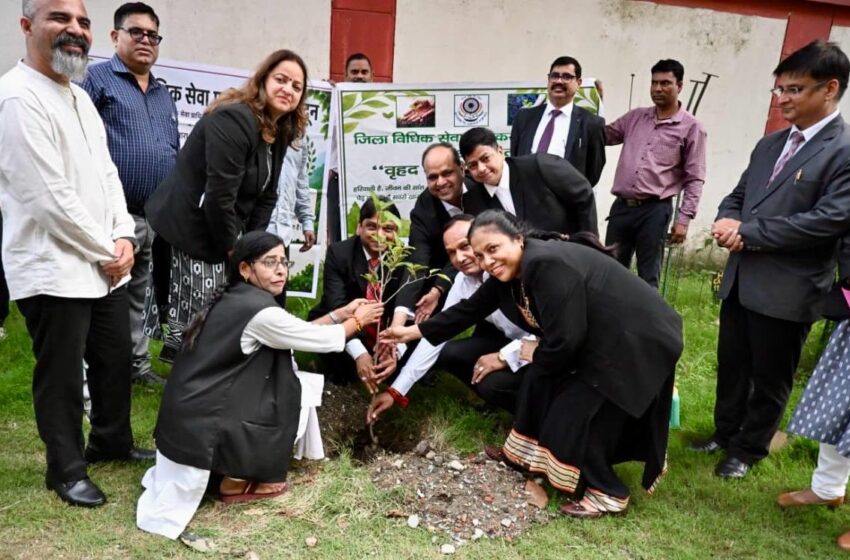  देहरादून जिला न्यायालय परिसर में ‘हरेला’ पर भव्य वृक्षारोपण