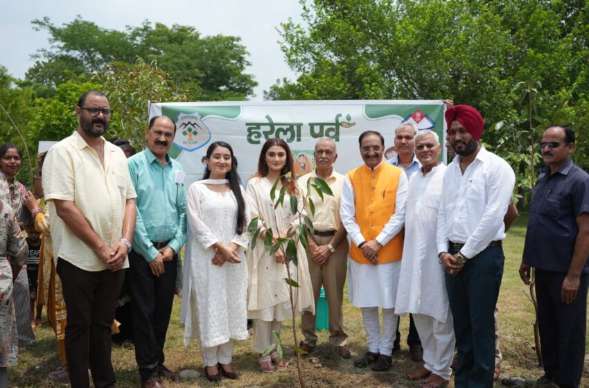  हरेला पर स्पर्श हिमालय विश्वविद्यालय में वृक्षारोपण, प्रकृति संरक्षण का लिया संकल्प, ‘हरित एवं स्वस्थ उत्तराखंड’ का दिया संदेश