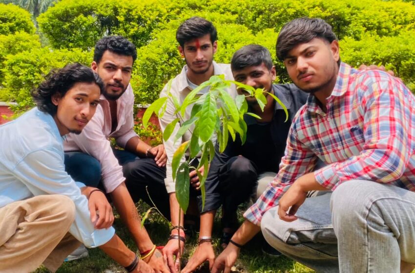  हरेला पर्व पर गांधी पार्क में पौधारोपण, पर्यावरण संरक्षण का दिया संदेश