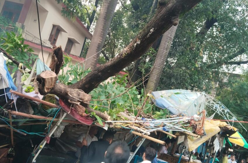  देहरादून शहीद स्मारक में बारिश का कहर, पेड़ गिरने से टला बड़ा हादसा